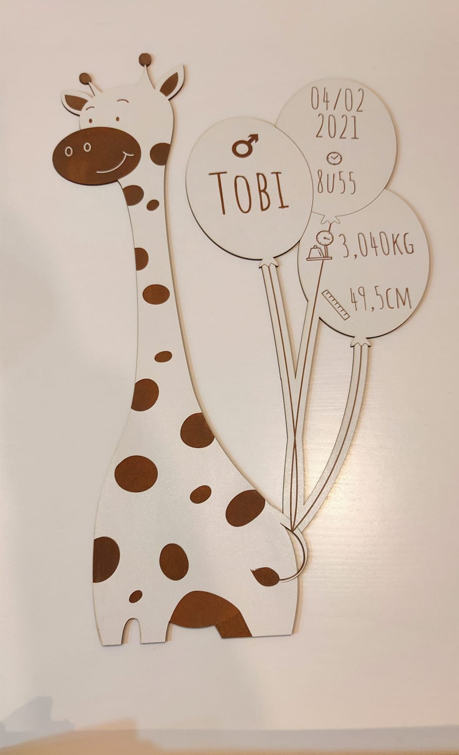 Elefante ou Girafa - Dados nascimento